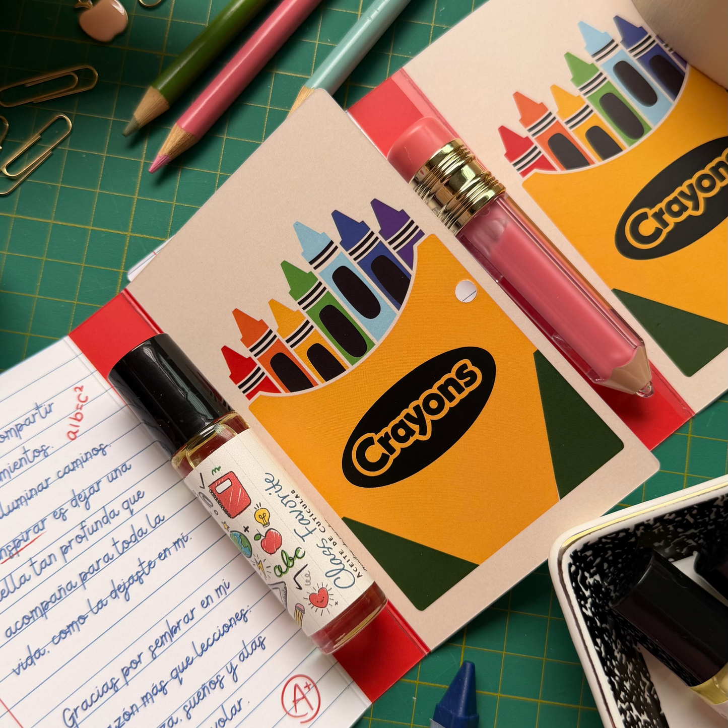 Teacher’s Mini Edition Book