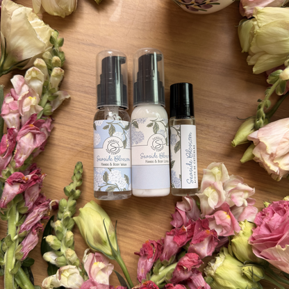 The Mother’s Library - Hand Care Edition